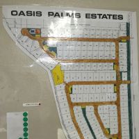 Oasis Palm Estates ico