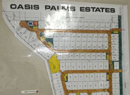 Oasis Palm Estates