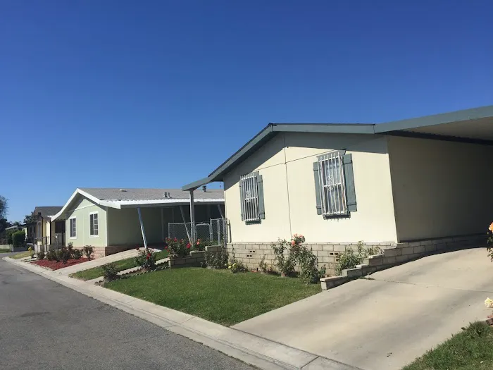 Oasis Palm Estates Picture 3