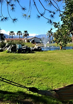 Oasis Palms RV Resort Picture 6
