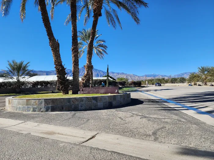 Oasis Palms RV Resort Picture 3