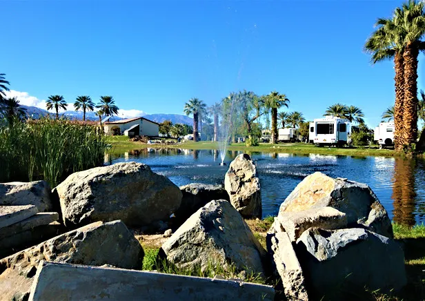 Oasis Palms RV Resort Picture 8