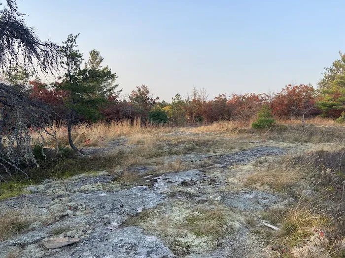 Site Blueberry Ridge H2 Picture 1