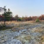 Site Blueberry Ridge H2