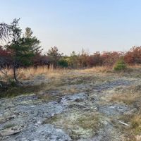 Site Blueberry Ridge H2 ico