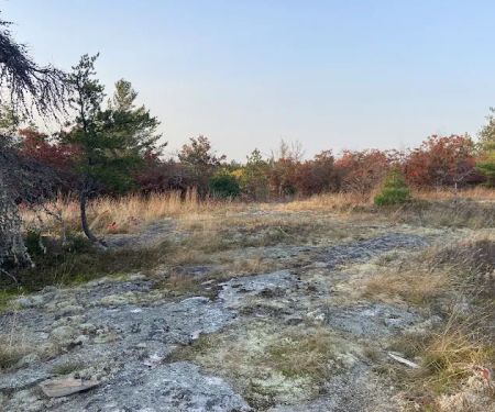 Site Blueberry Ridge H2