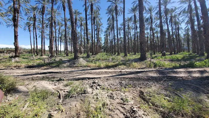 Sunbird Mobile Home Park Picture 2