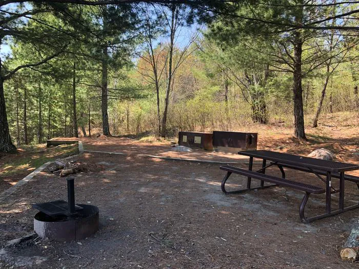 Lost Lake K19 Campsite Picture 4