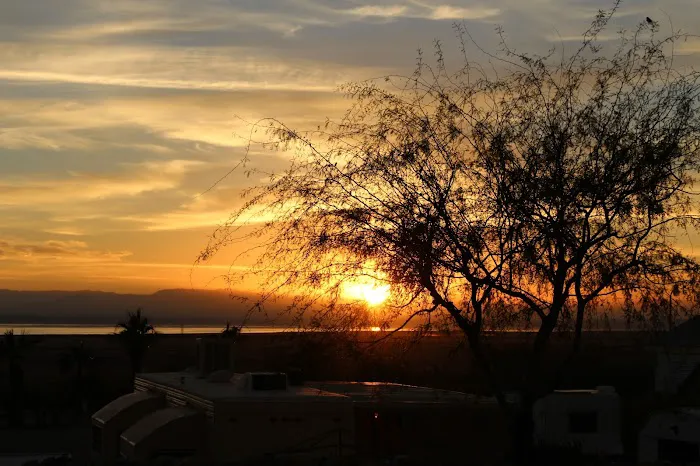 Lark Spa Mobile Home & RV Park Picture 8