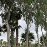 Storm's Crossing Mobile Estate