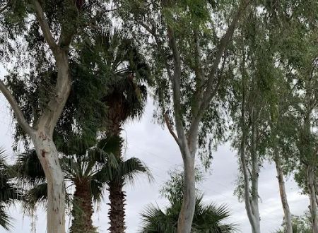 Storm's Crossing Mobile Estate
