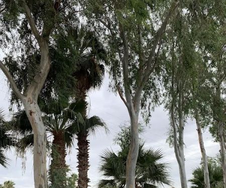 Storm's Crossing Mobile Estate