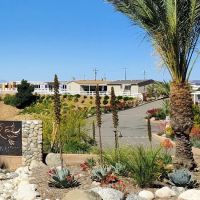 Las Palomas Estates ico