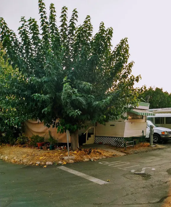 Big Oak Gardens Mobile Home Park Picture 6