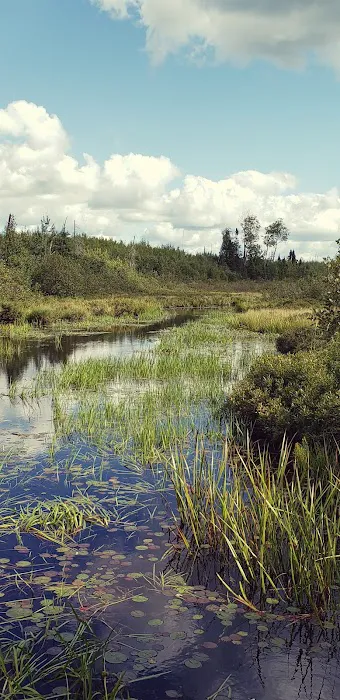 Iron Lake Campground Picture 4