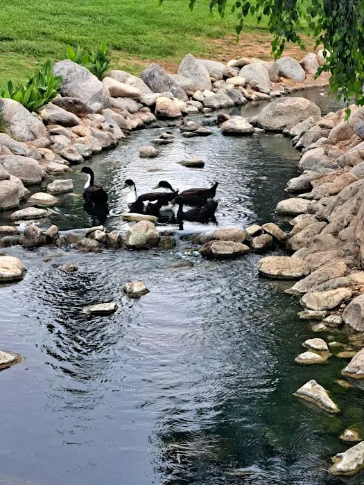Plantation On the Lake Picture 10