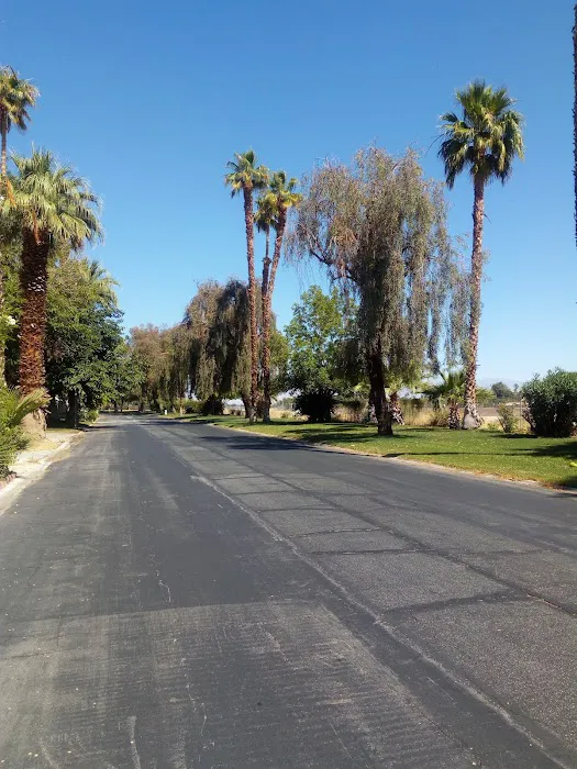 Rancho Mirage Mobile Home Park Picture 9