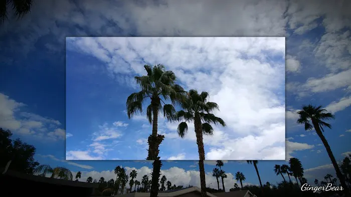 The Colony Picture 8