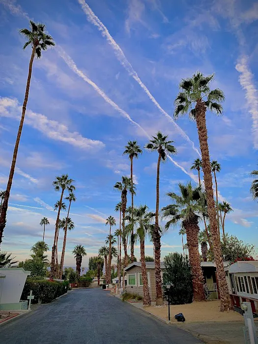 Blue Skies Village Picture 1