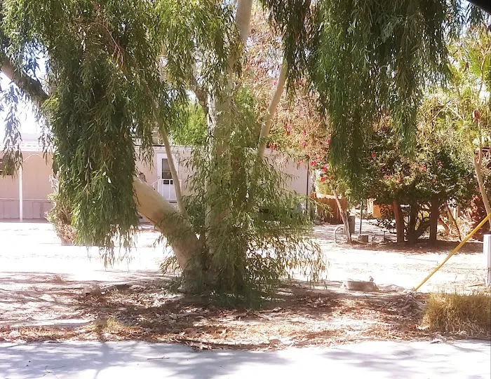 Mountain View Mobile Home Park Picture 10