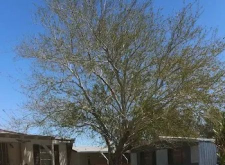 Mountain View Mobile Home Park