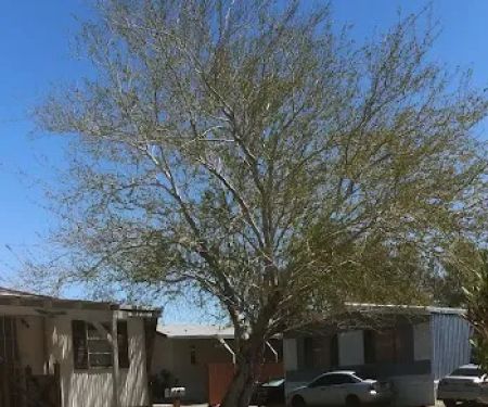 Mountain View Mobile Home Park