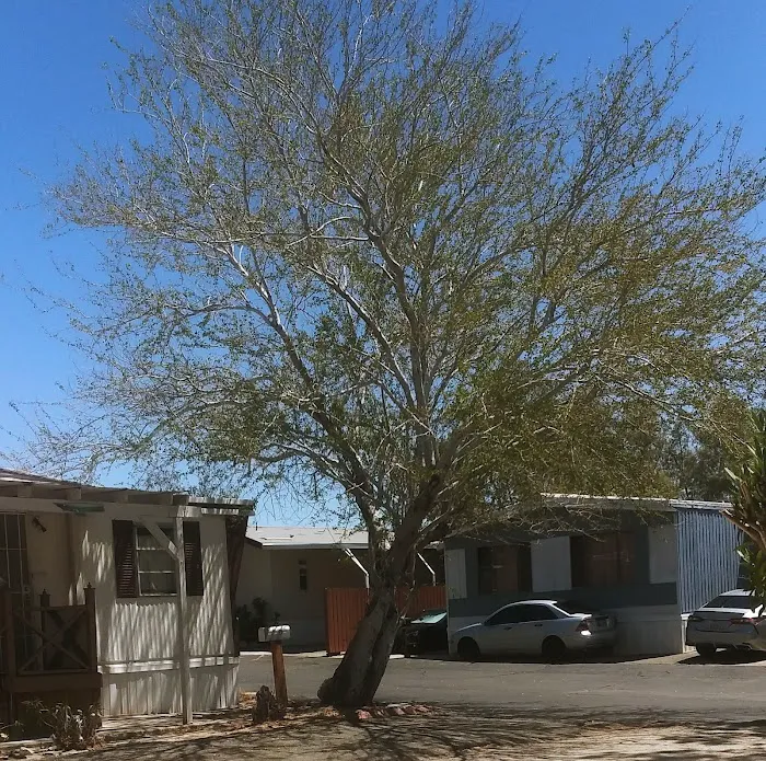 Mountain View Mobile Home Park Picture 2