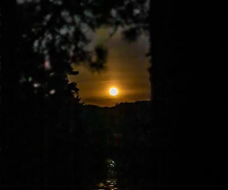 BWCA campsite 754
