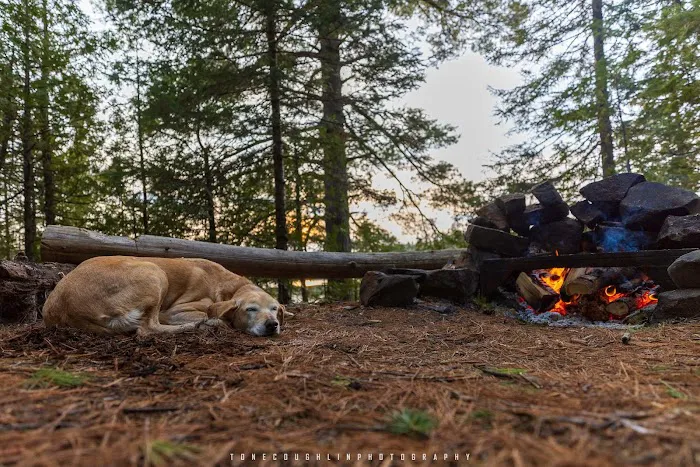 BWCA Campsite #752 Picture 5