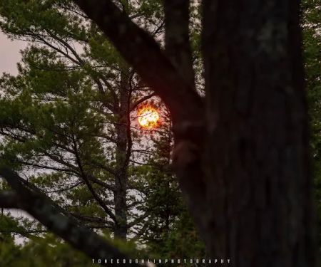 BWCA Campsite #692