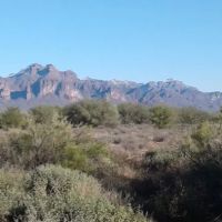 Boardwalk Estates ico