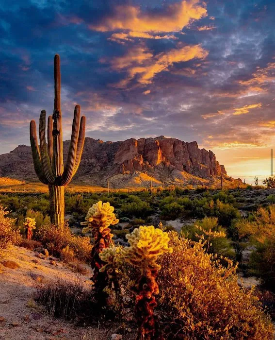 Lost Dutchman RV Resort Picture 6