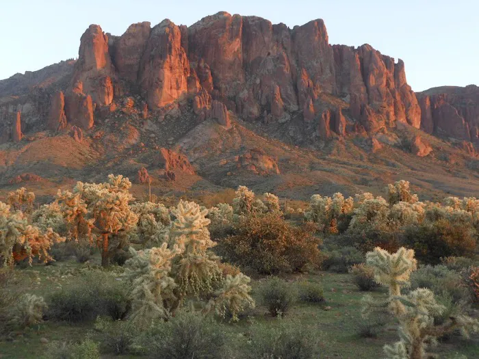 Lost Dutchman RV Resort Picture 4