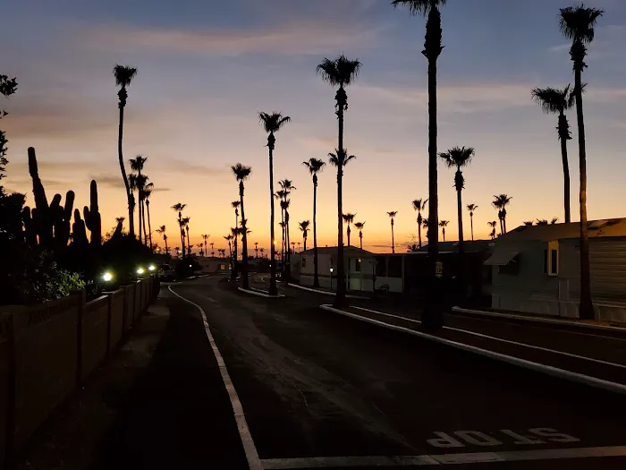 Lost Dutchman RV Resort Picture 7