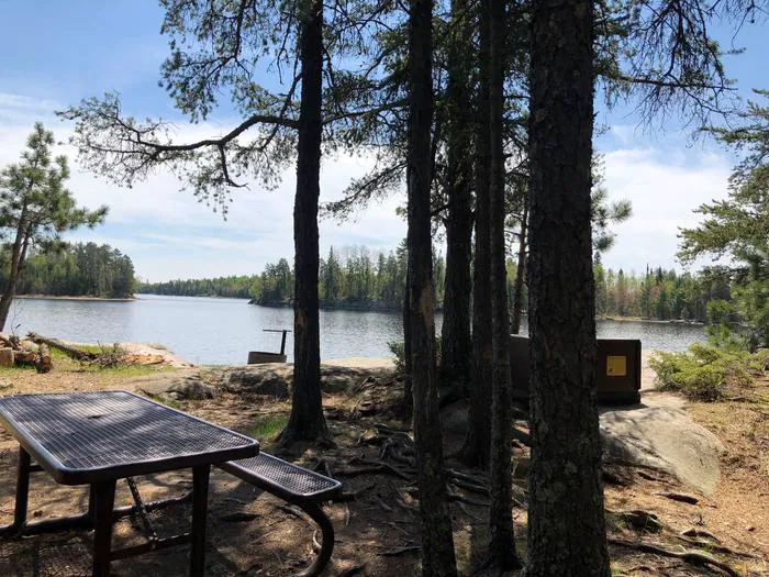 Johnson Bay N14 Campsite Picture 4