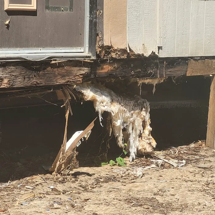 Bellevue Mobile Home Park Picture 1