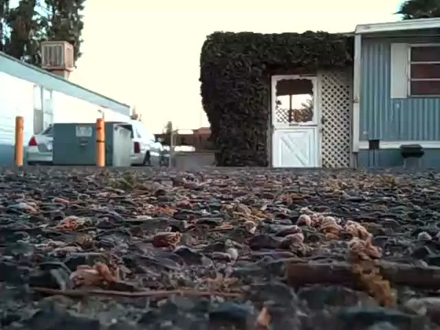 Bellevue Mobile Home Park Picture 7
