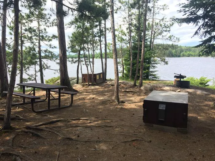 Williams Island North N61 Campsite Picture 4