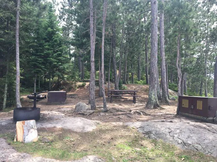 Williams Island North N61 Campsite Picture 3