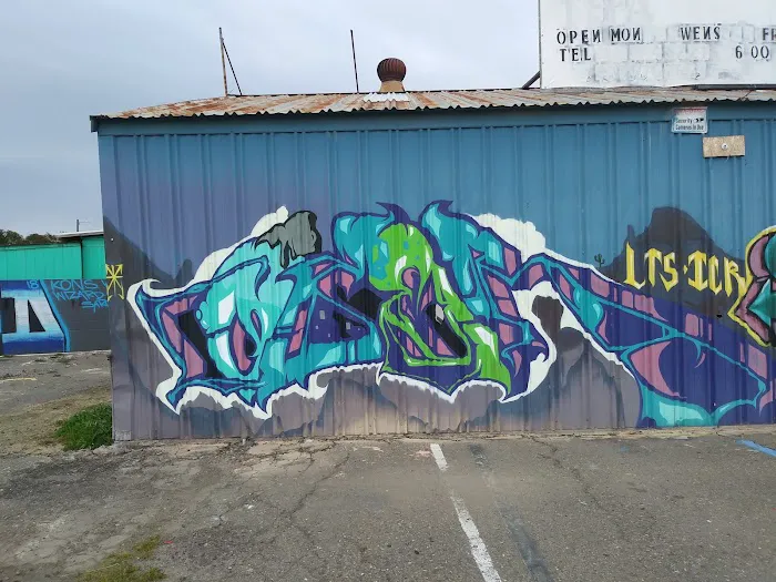 Golden Wheels Mobile Home Park Picture 1