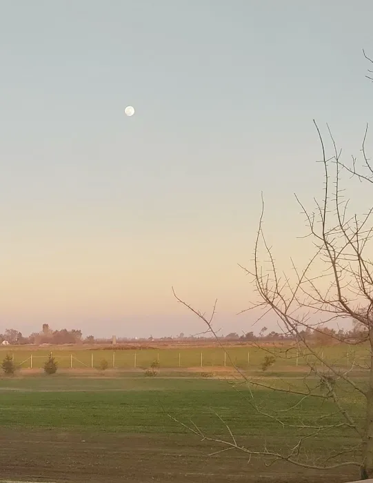 Merced, CA Elks RV Park Picture 4