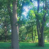 Harbine Park Campground ico