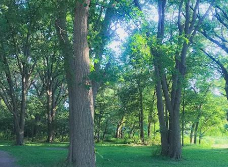 Harbine Park Campground