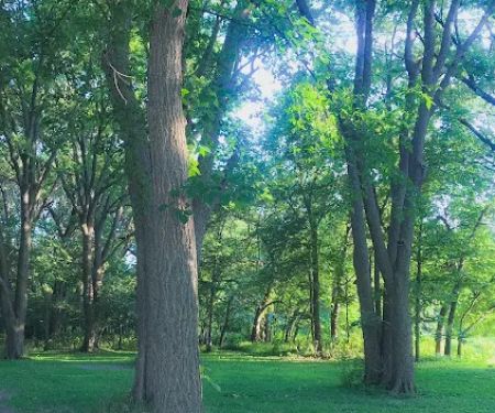 Harbine Park Campground