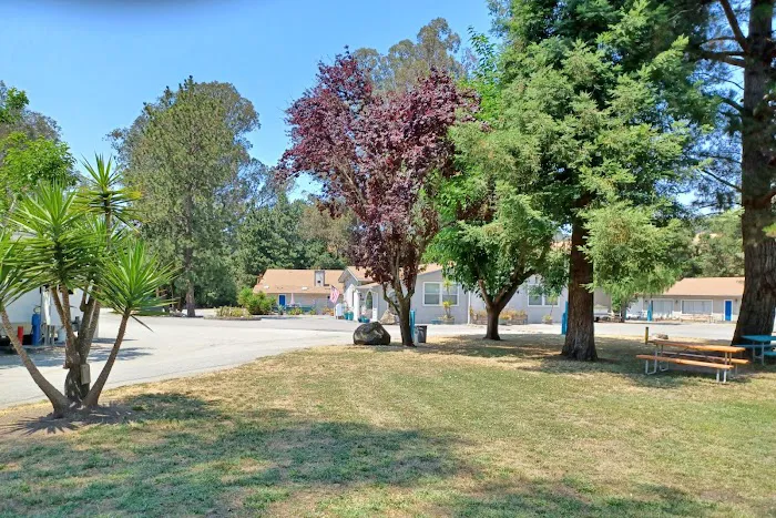 Monterey RV Park Picture 8