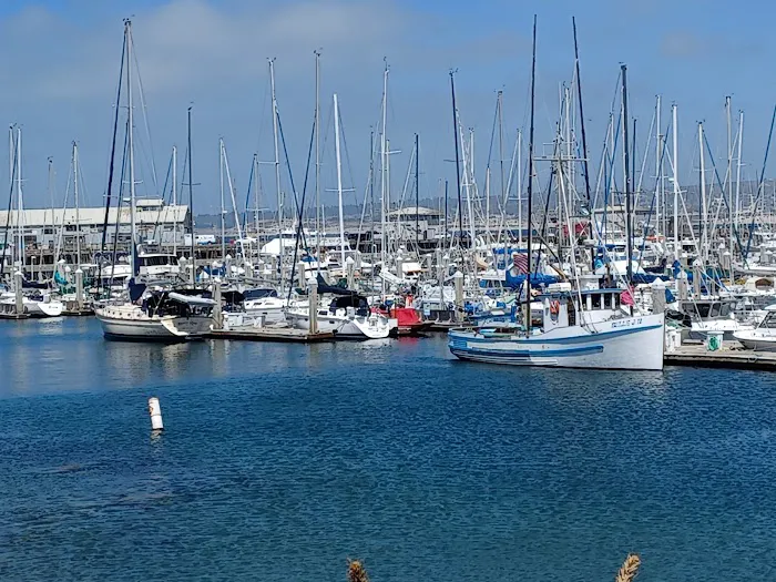 Monterey RV Park Picture 5