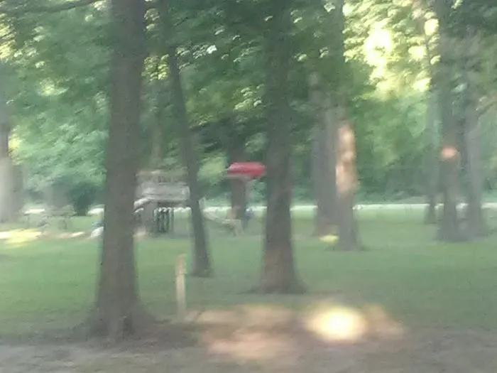 River Side Park Picture 3