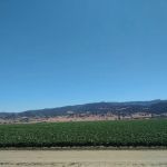 Mission Farm RV Park