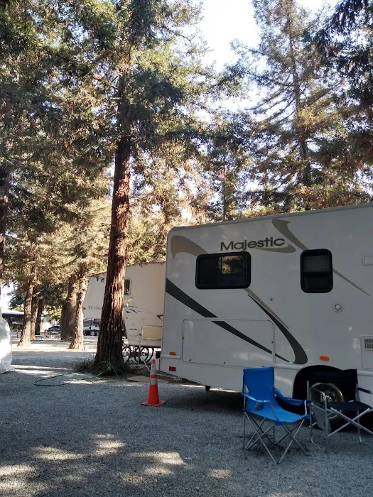 Mission Farm RV Park Picture 7