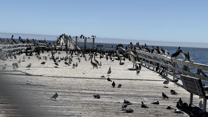 Seacliff Center RV Park Picture 4
